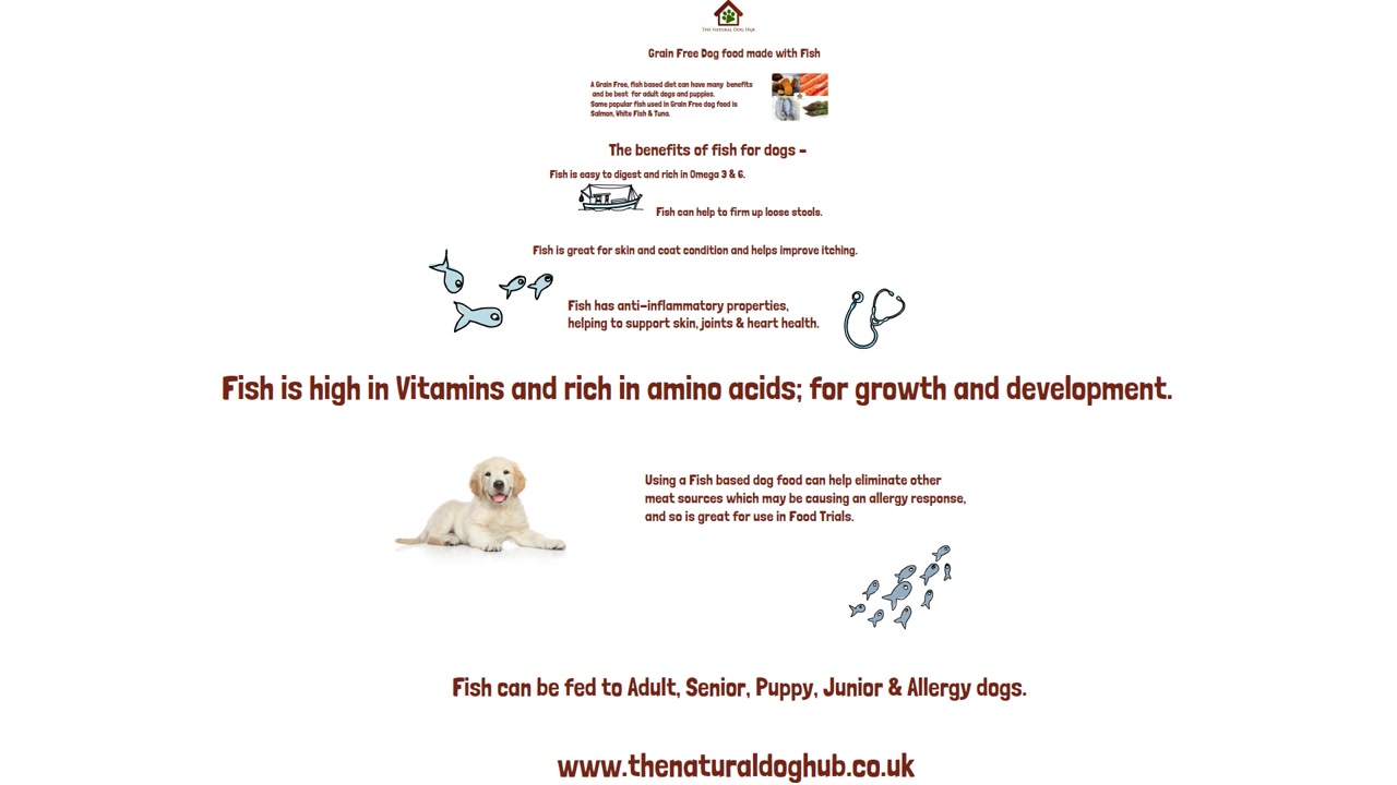 Can Puppies Have Fish